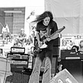 LSDOG75 #22