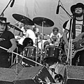 LSDOG75 #4